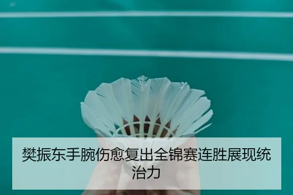 fan-zhen-dong-shou-wan-shang-yu-fu-chu-quan-jin-sai-lian-sheng-zhan-xian-tong-zhi-li-1-254.jpg